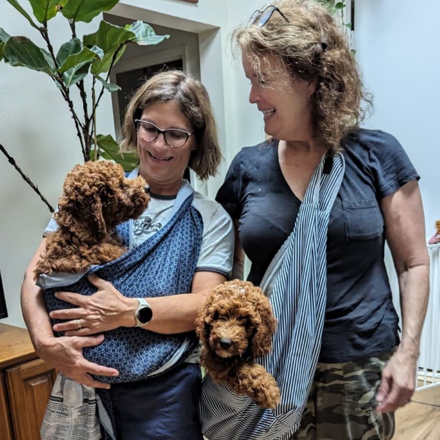 Lily carrying puppies in slings with a friend