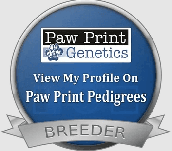 Paw Print Genetics — Pedigrees Breeder