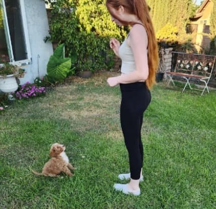 Autumn working on focus with a small puppy in a backyard