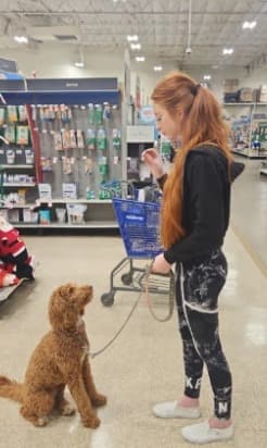 Autumn training a dog on leash in a pet store