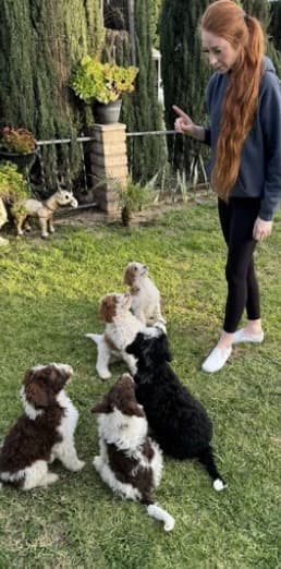 Autumn leading a group of puppies through a lesson on the lawn